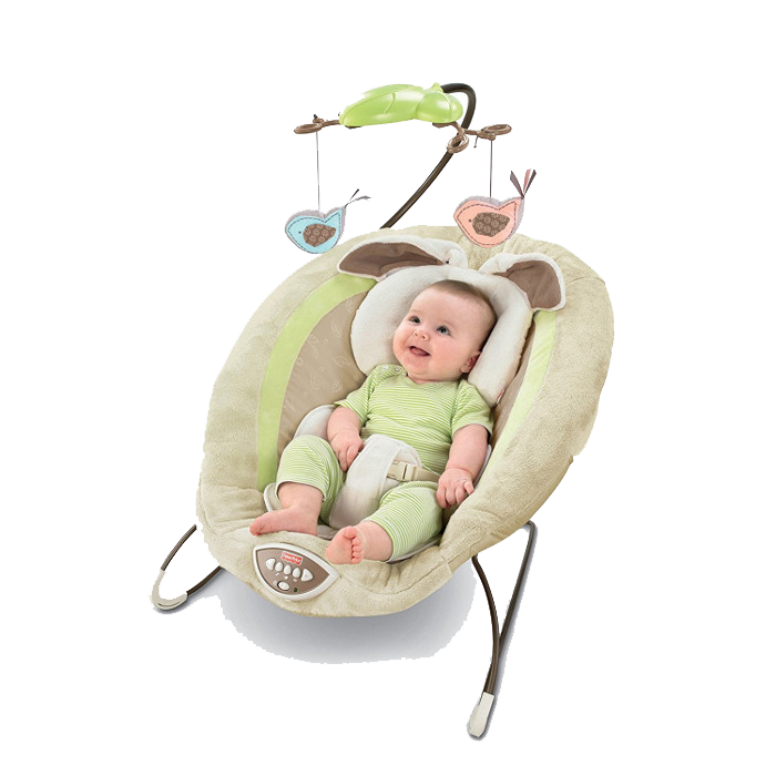 My Little Snugabunny Deluxe Bouncer by Fisher-Price Baby Gear Rentals | Big Boys Toys | Bozeman, MT